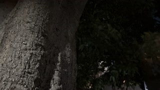 2025/07/11 02:20:50