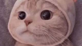 2025/05/03 19:06:31