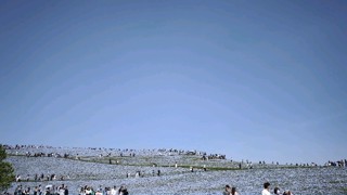 2025/05/03 12:43:18