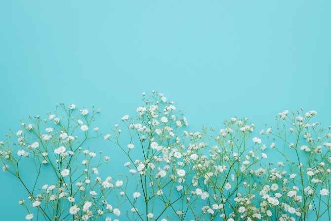 🌷配信についての注意事項
