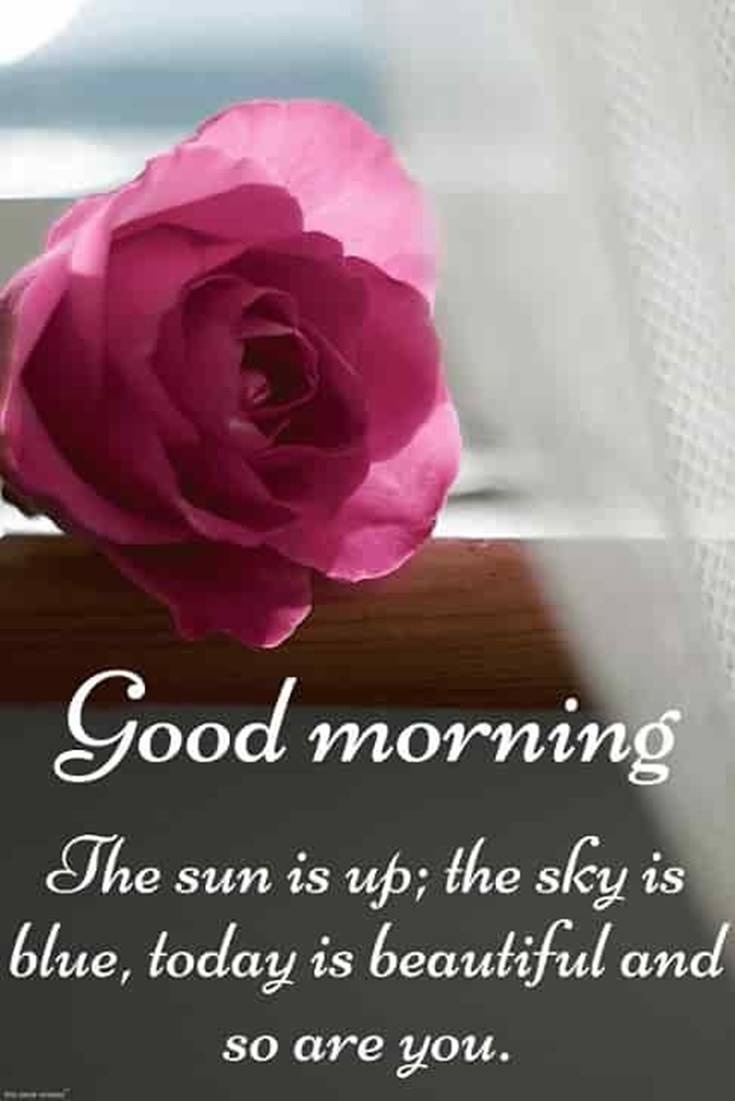 ■おはよう。太陽は登り,空は青く,今日はとても美しい