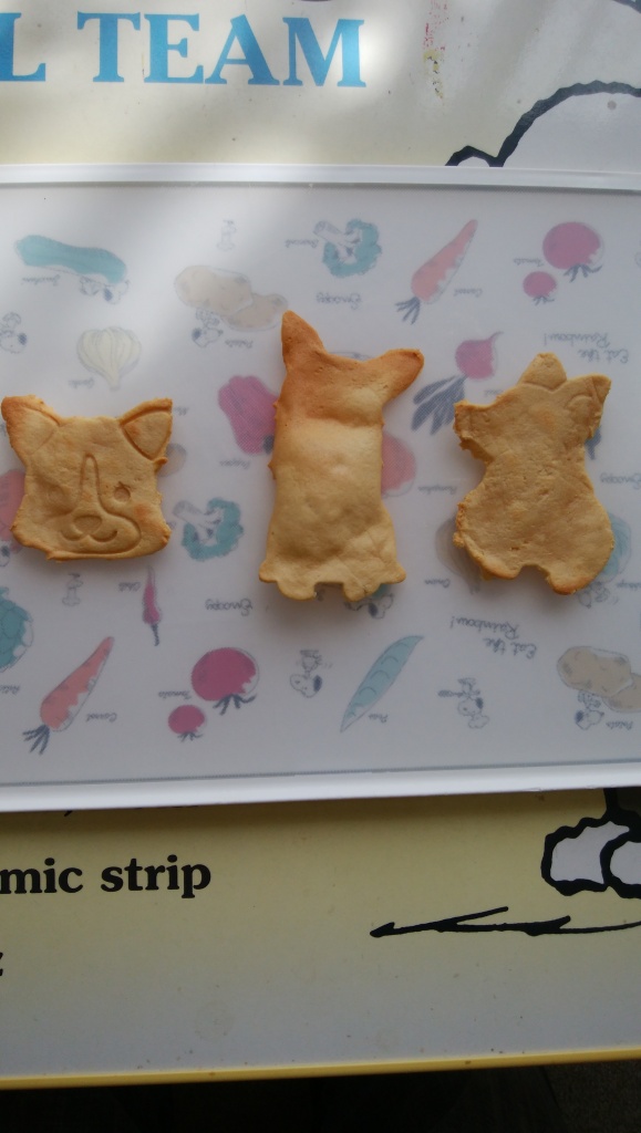 🐹💬大豆粉で作った犬用クッキー試作品