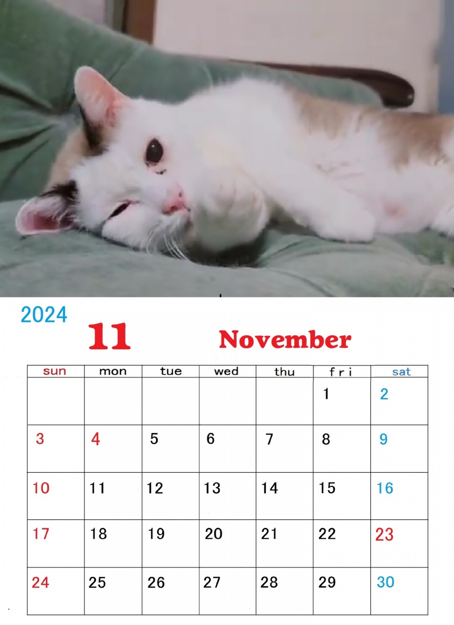 ｢ねこーずカレンダー11月号｣ ができました。
