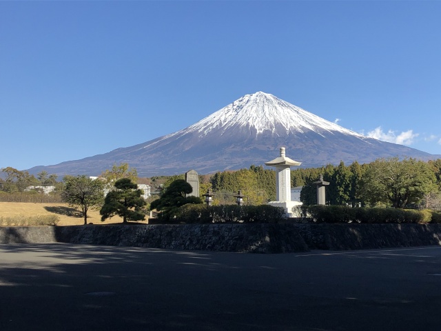 カンボジア🇰🇭展示会に