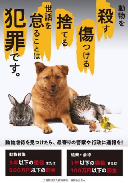 またです、猫の虐待死事件が沖縄で起こりました。
