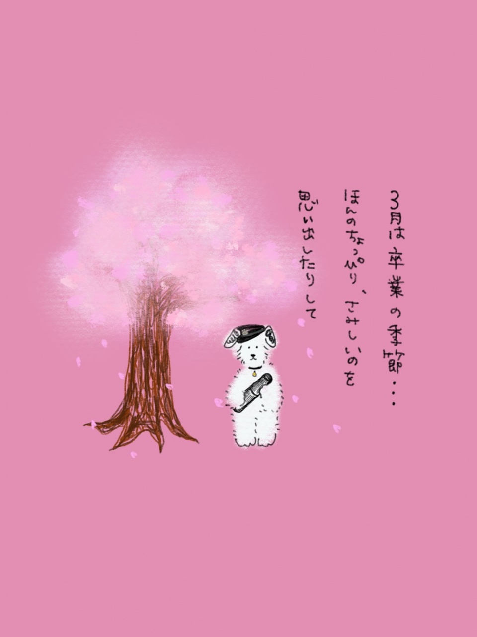 次回は4月4日！
