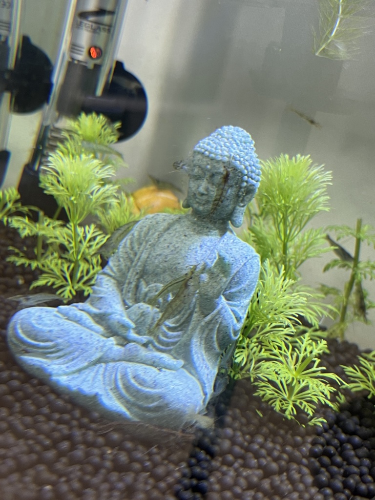 ㅉㅉ  舌打ち
