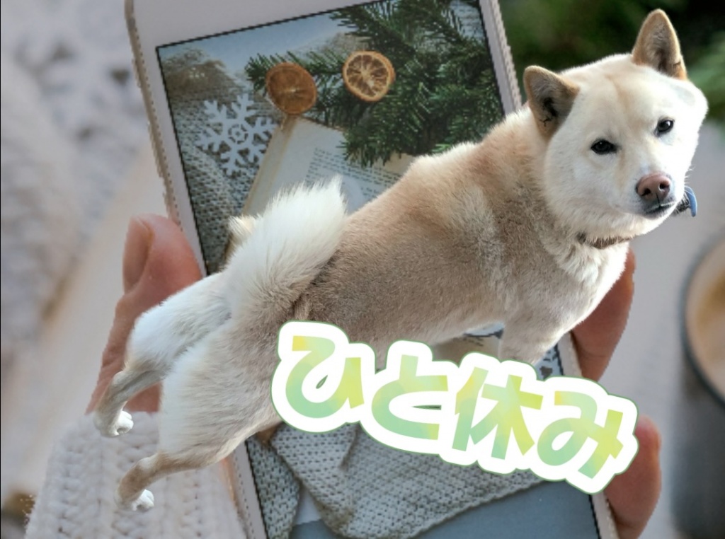 【配信を1週間おやすみします🙇‍♀️🙇‍♀️】
