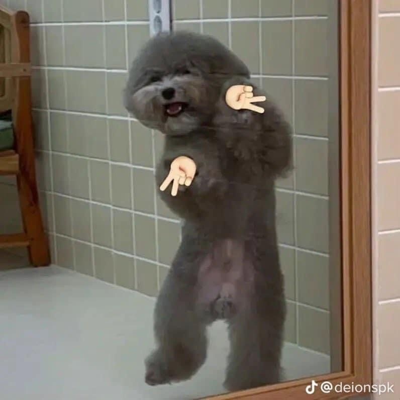 こんばんはーーーーー！！！！
