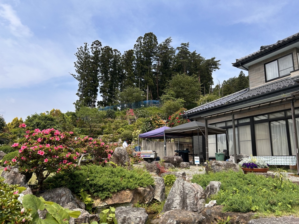 テケテケ🎸お試し配信に沢山のコメントやアイテムあり