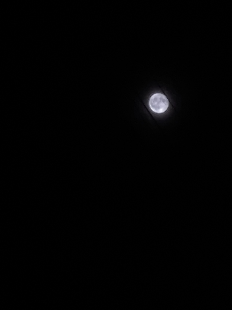 月綺麗すだろっ！僕月撮る天才かもしれん‍ｗ
