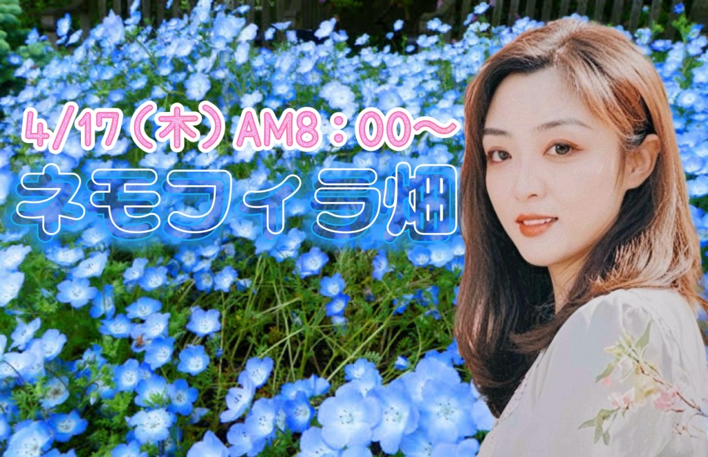 【4/17（木）AM8：00〜満開のネモフィラを見に行こう🌸