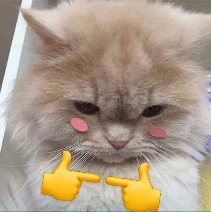 みんなさんいらっしゃい～