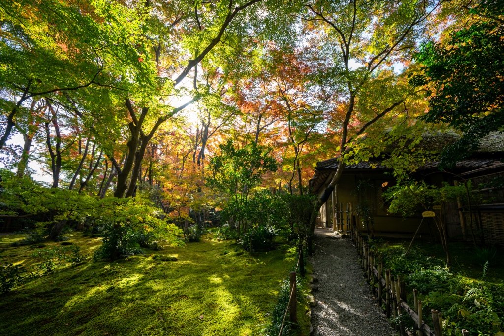 【連絡】6月は旅行へ行かない。あれは嘘だ。
