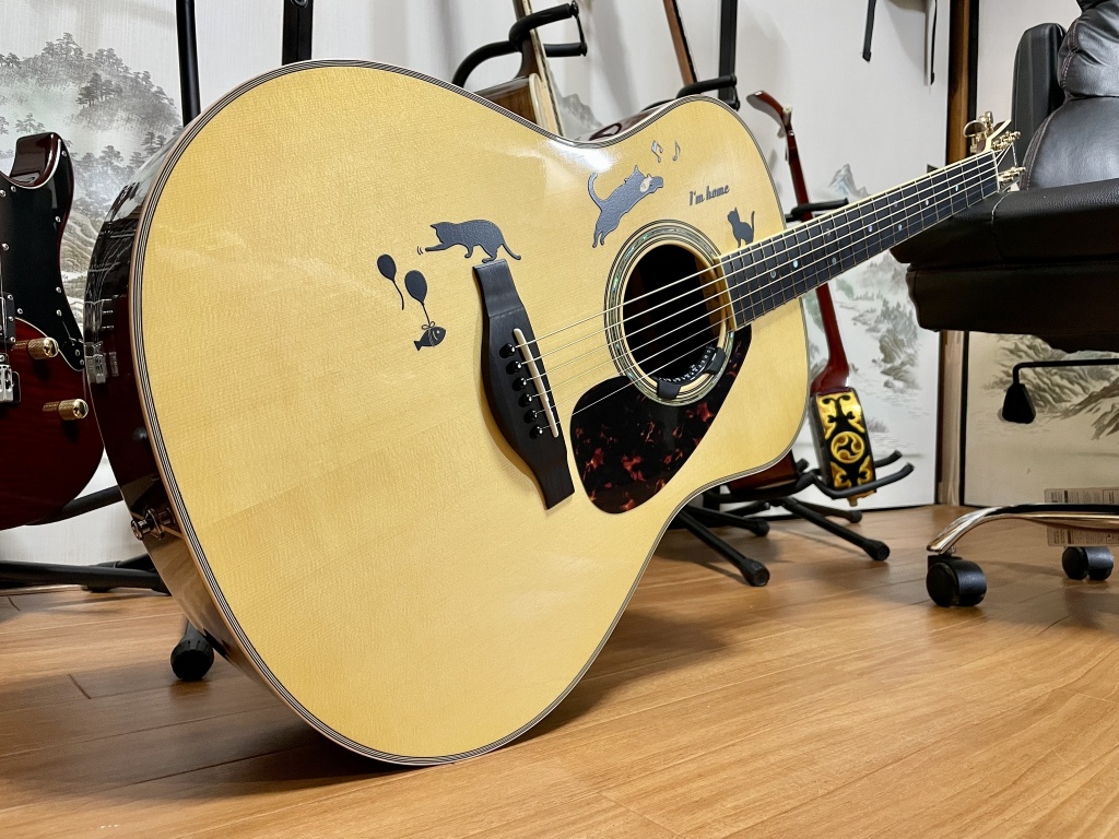 お知らせ🎸
