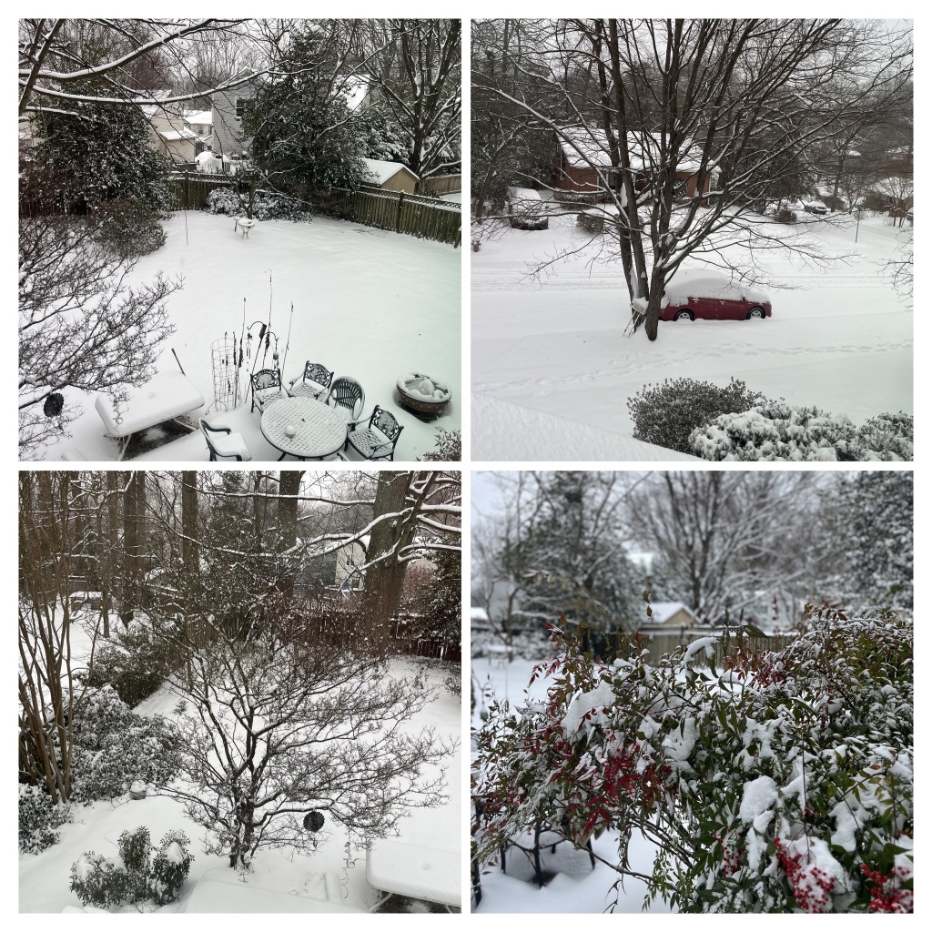 ❄️✨☃️

