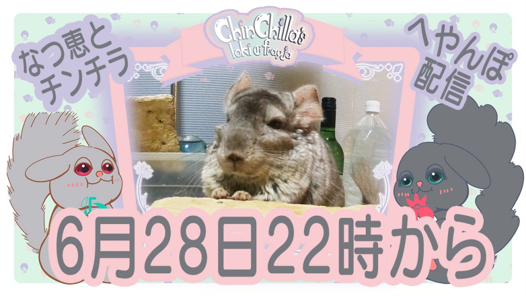 6月28日22時からチンチラの部屋んぽを配信します。

