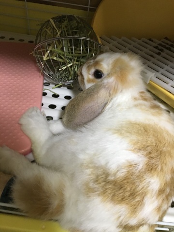 今日の10時から！