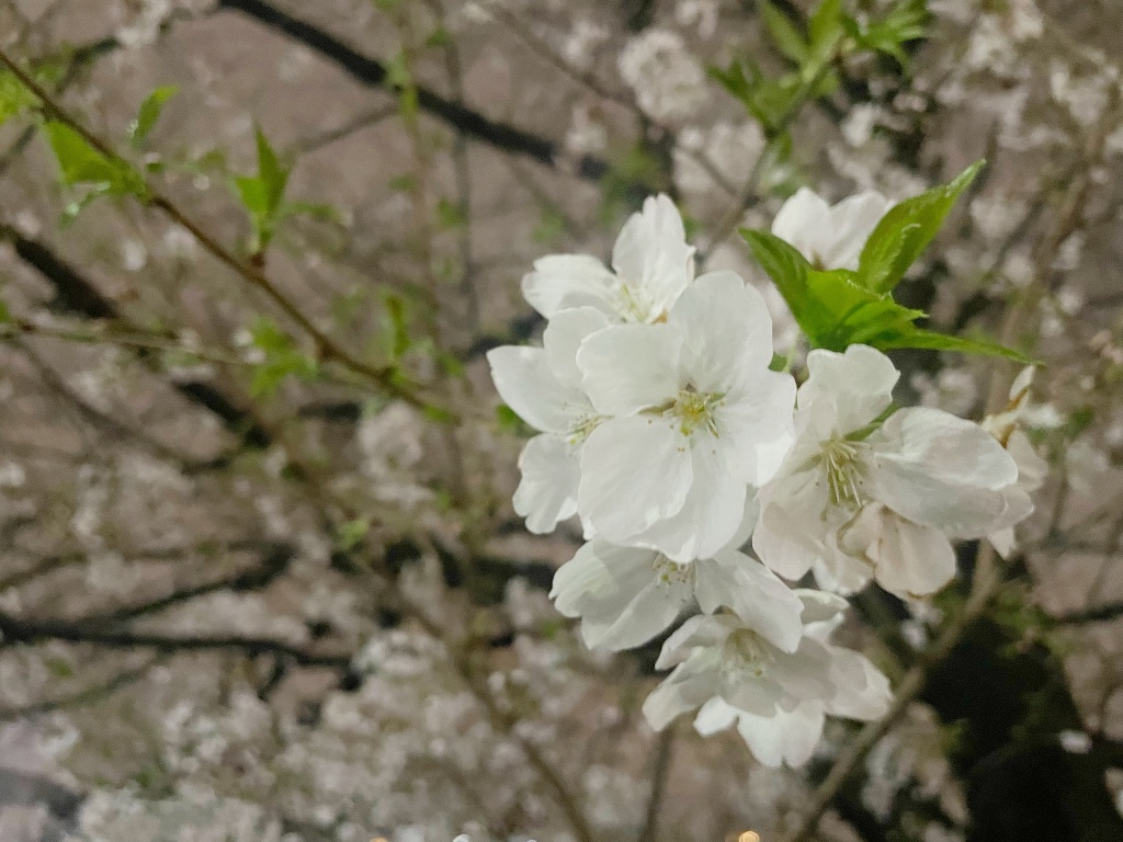 いつも仲良くしてくださる皆様へ
