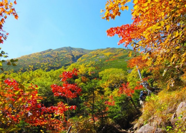 本日朝10時〜放送 山登って紅葉みに行こうよう 天気良