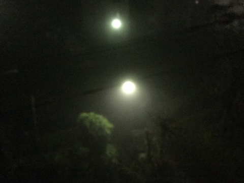 【速報】久留米市内 霧が発生中！！