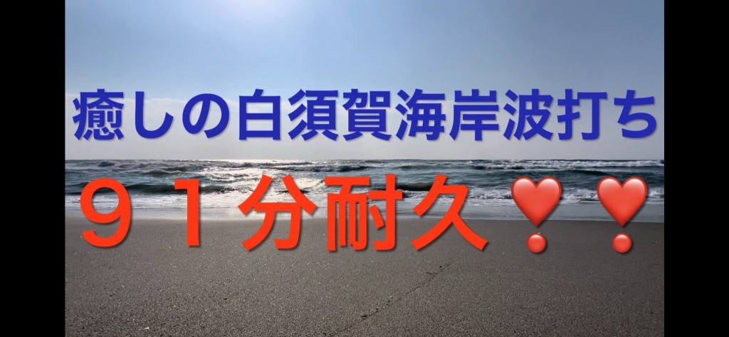 先日行った、静岡県湖西市の白須賀海岸波打ち際で、海