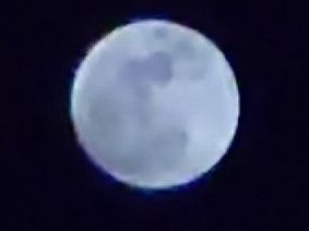 さすがにズームはぼやけるね