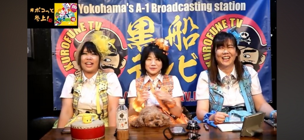 昨夜の黒船テレビ　#ポコっと参上
