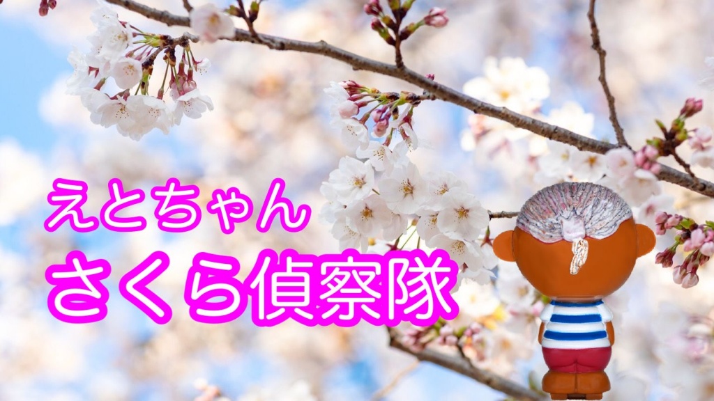 この後16時から桜を探しに行くよ〜！！