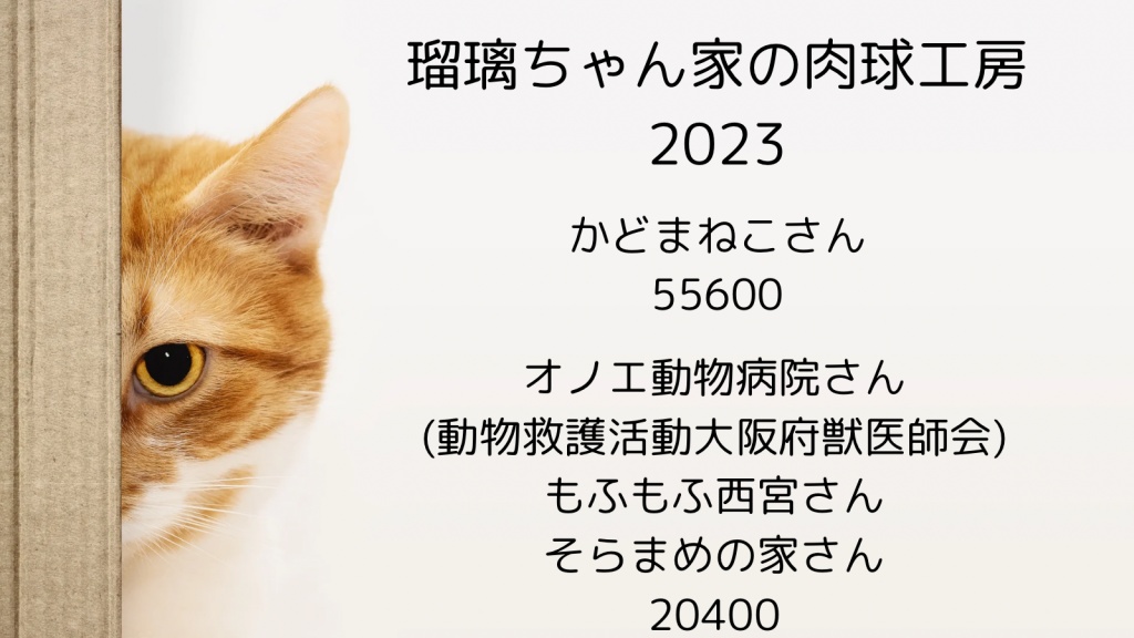 2023年保護猫活動支援報告
