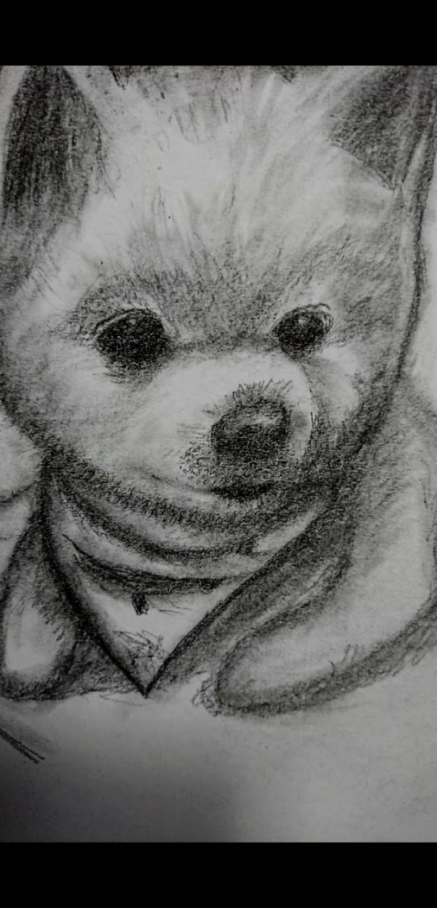 私が数年前に描いた「子犬ちゃん」なかなか、お気に入