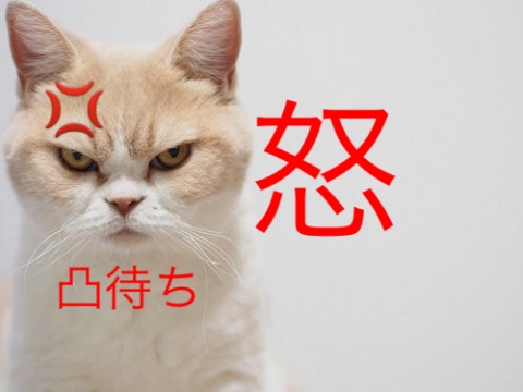 今日こそ！日頃の怒り凸待ちをします！！皆さん来てく
