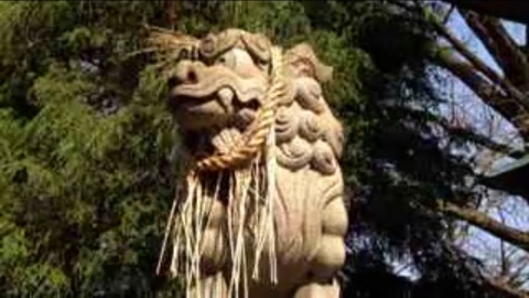 女体神社の狛犬(埼玉県)