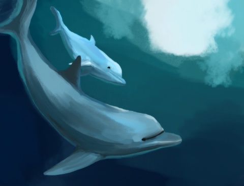 イルカを1時間くらいで描き終えました♪