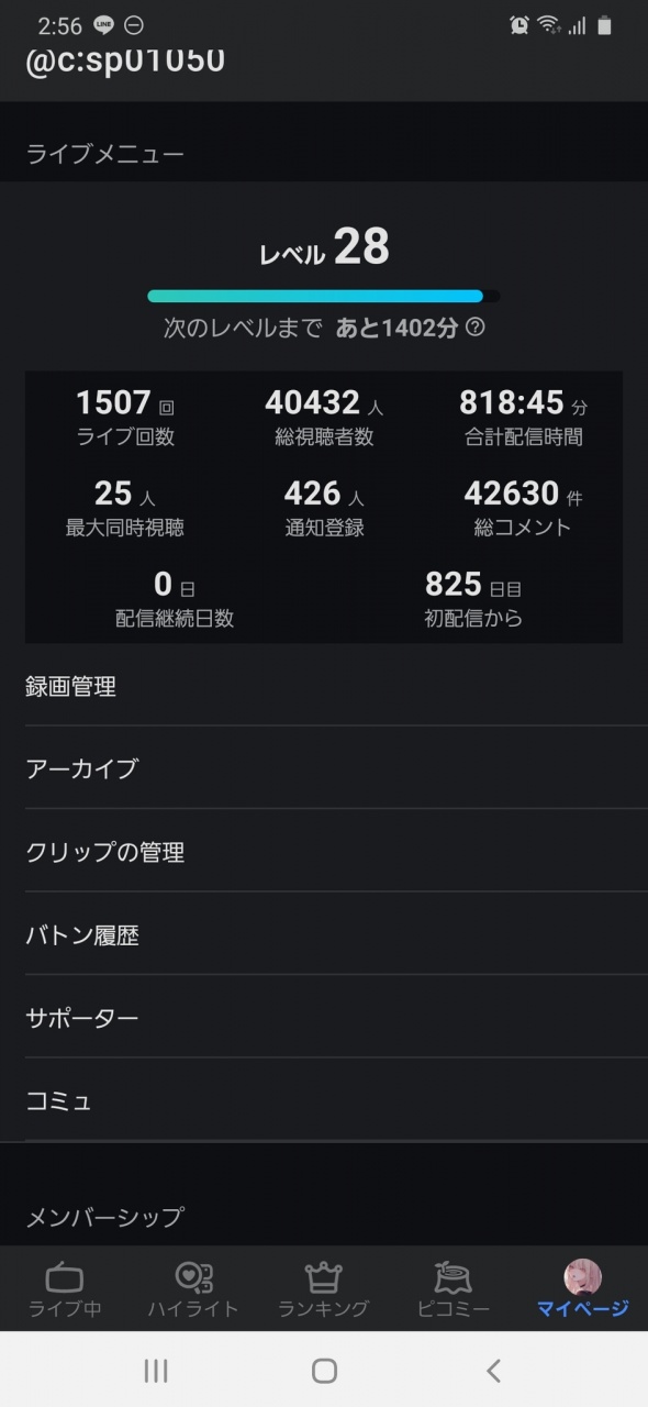 あともうちょっとで29Lvなる！

