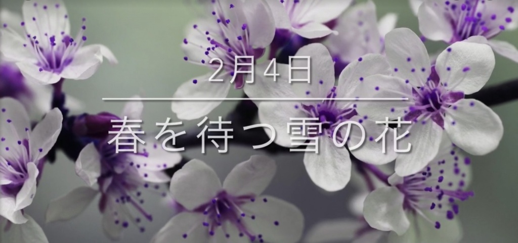 🌸『2月4日』〜春を待つ雪の花〜🌸