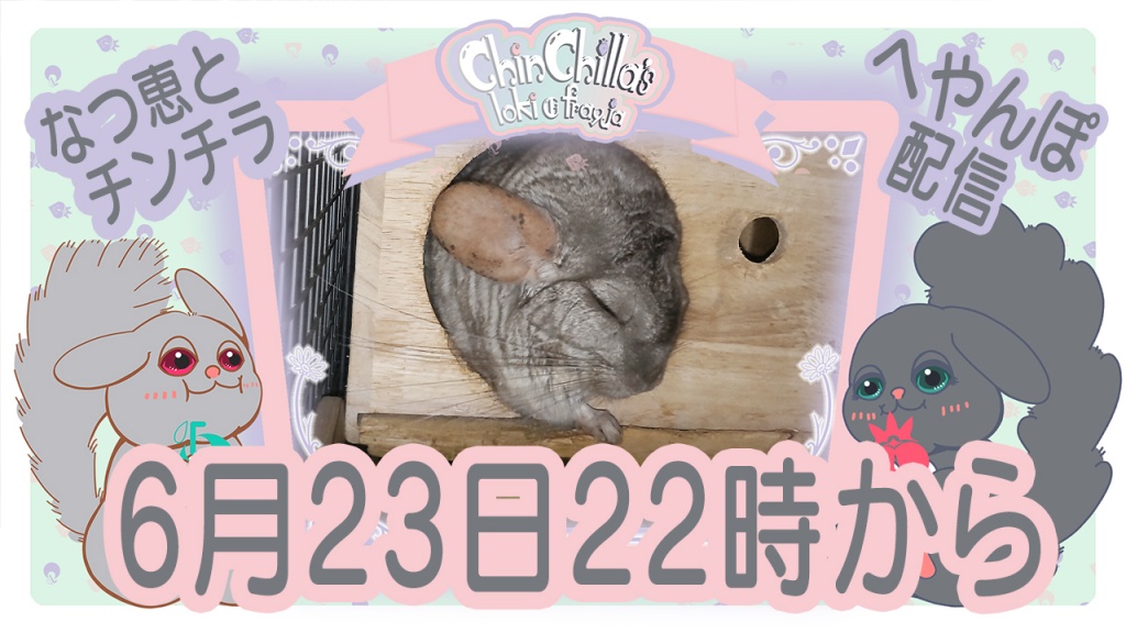 6月23日22時からチンチラの部屋んぽを配信します。
