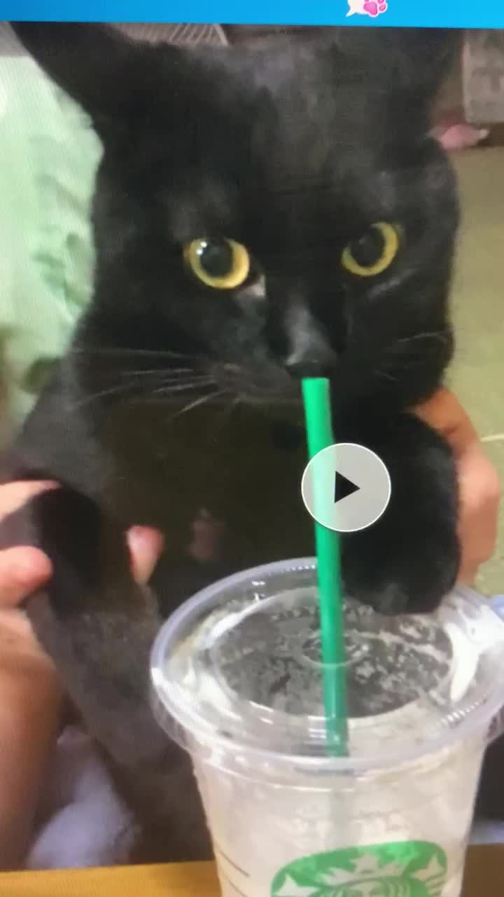 お知らせです^ - ^