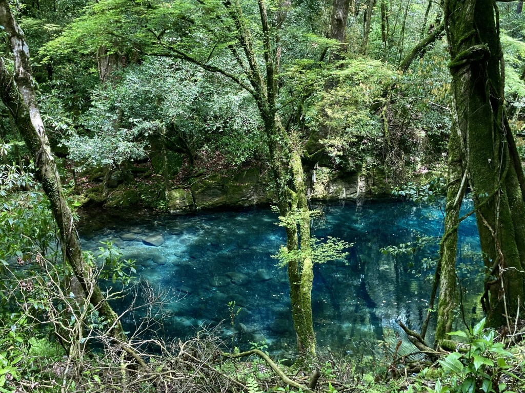 緑の中の青い湧水
