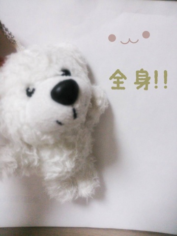 みんなやほやほ☆