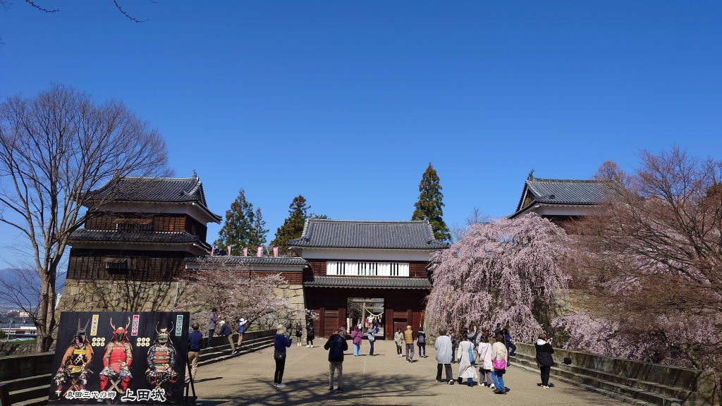 上田城行ってきた、映り込みスマソ、メインは桜！