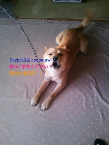 もう少ししたらSkypeを使った配信をしたいと思います
