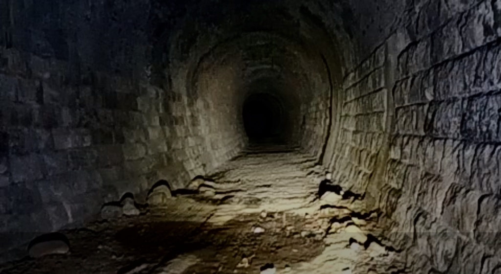 涼しい 廃隧道…
