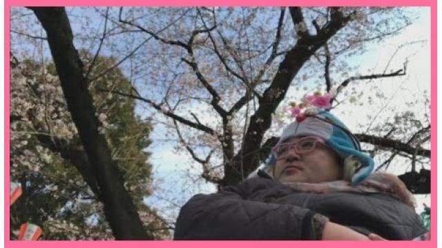 東京の桜の名所10ヵ所を歩いて巡る外配信🌸