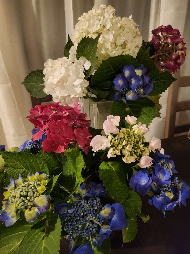 会社のお隣さまから頂きました。

