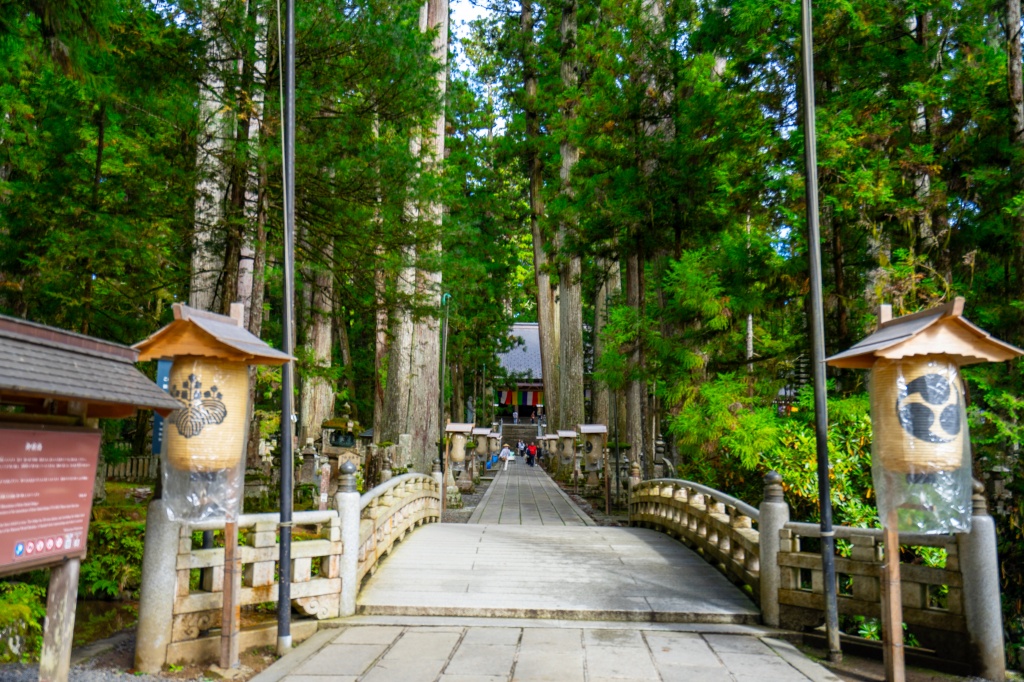 【連絡】日帰り旅行します。
