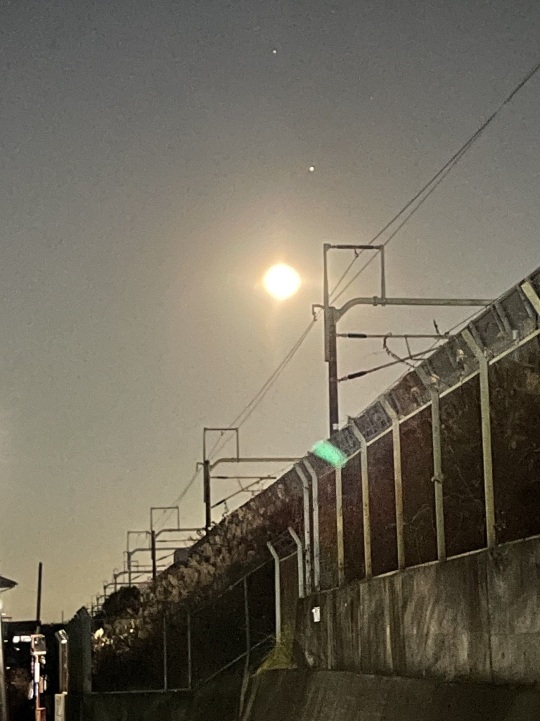 明日と明後日は出張キャンセルした☺️✨
