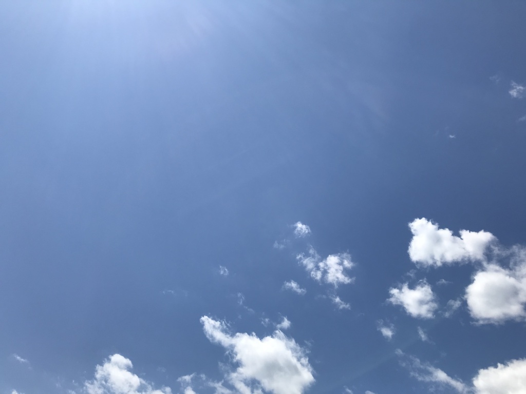 明日への手紙　/　手嶌葵（カバー）2020年5月6日