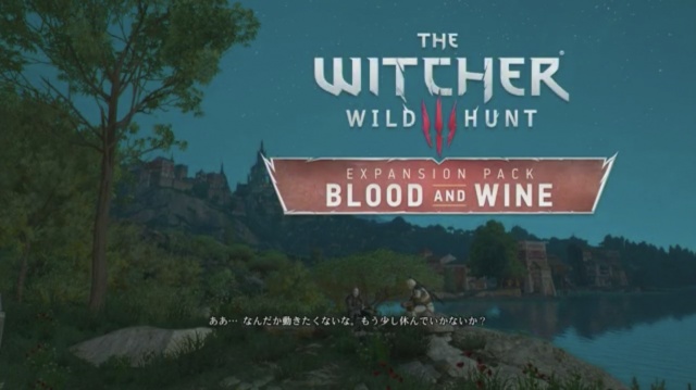 【THE WITCHER3 -Wild hunt】クリアしました！✨✨