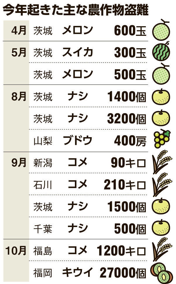 今年の農作物の盗難